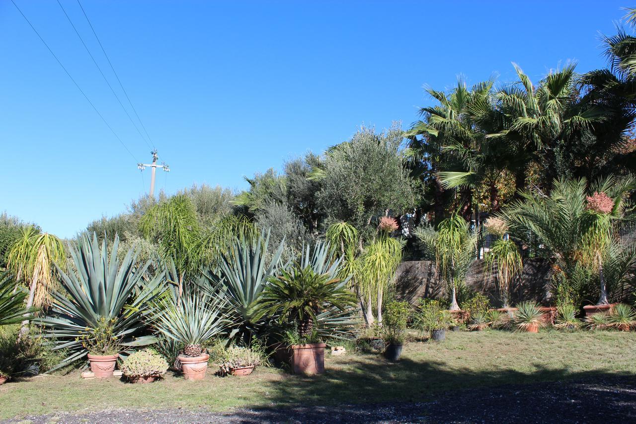 Residence Serrone Santa Maria di Castellabate Exterior photo